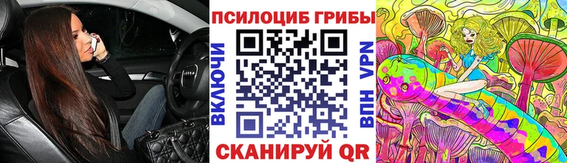 Галлюциногенные грибы прущие грибы  Купить закладки  Волчанск 