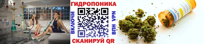 Бошки Шишки марихуана  Купить закладки  Волчанск 